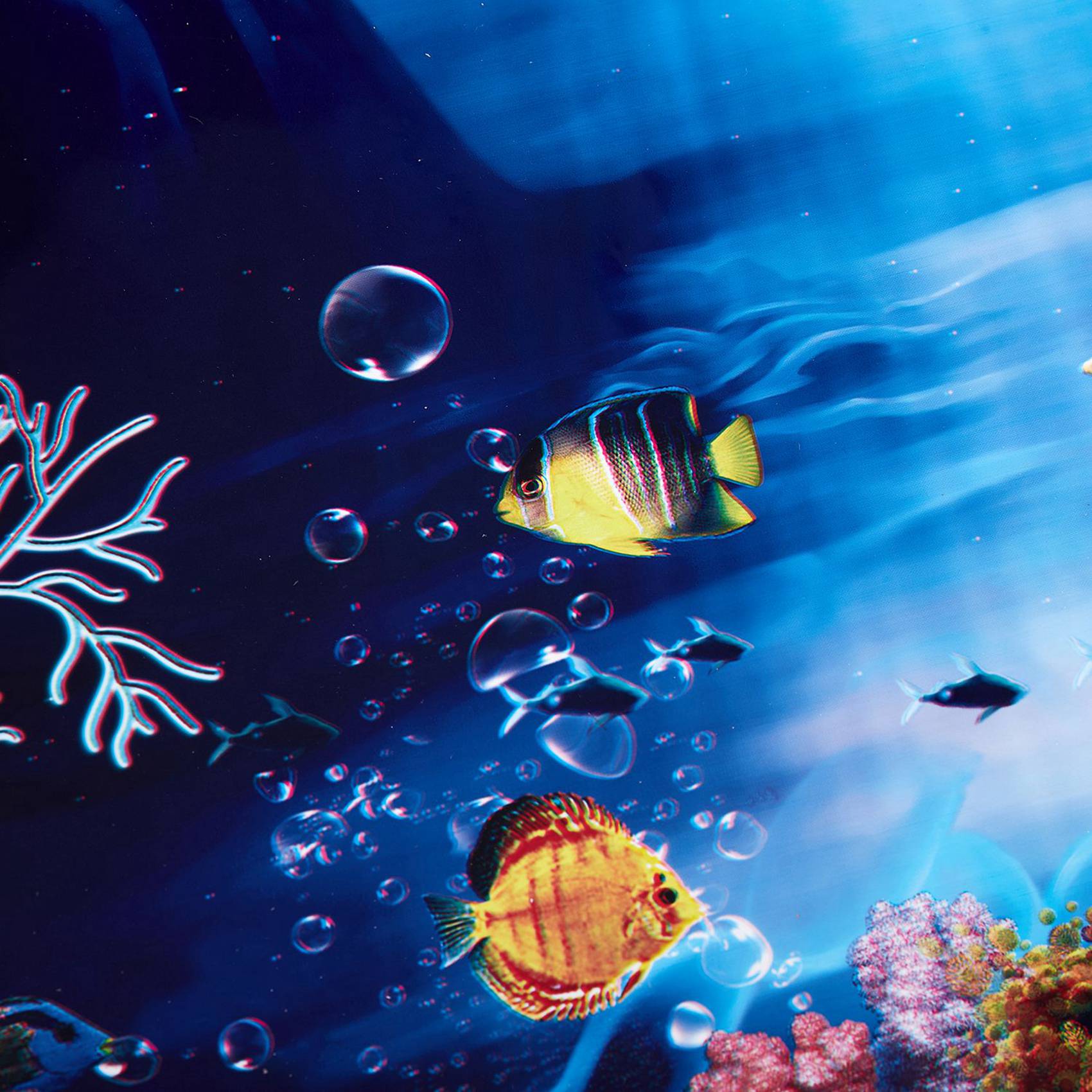 Aquarium Fish Poster - 2X Blue Fresh Sea Background Aquarium