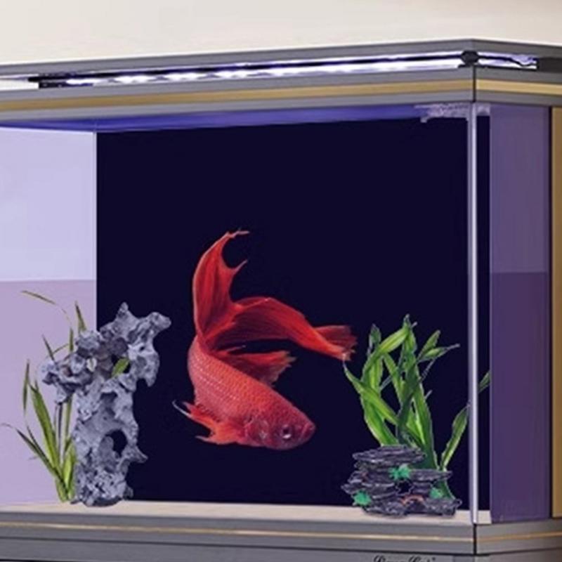 Black Aquarium Background Wall - огляд і ціна Aquarium Fish Poster