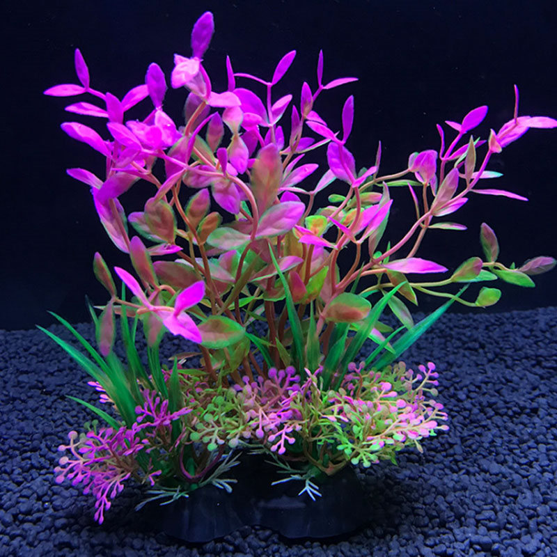 Aquarium decoration a variety  - огляд і ціна Aquarium Fish Variety