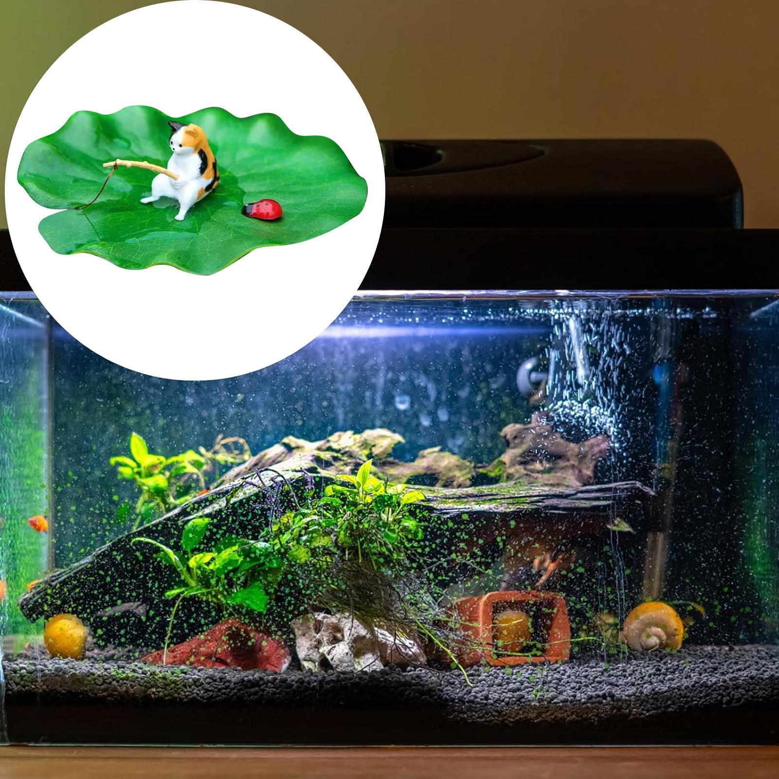 Cat Fishing on Floating Lily P - огляд і ціна Aquarium Fish Names
