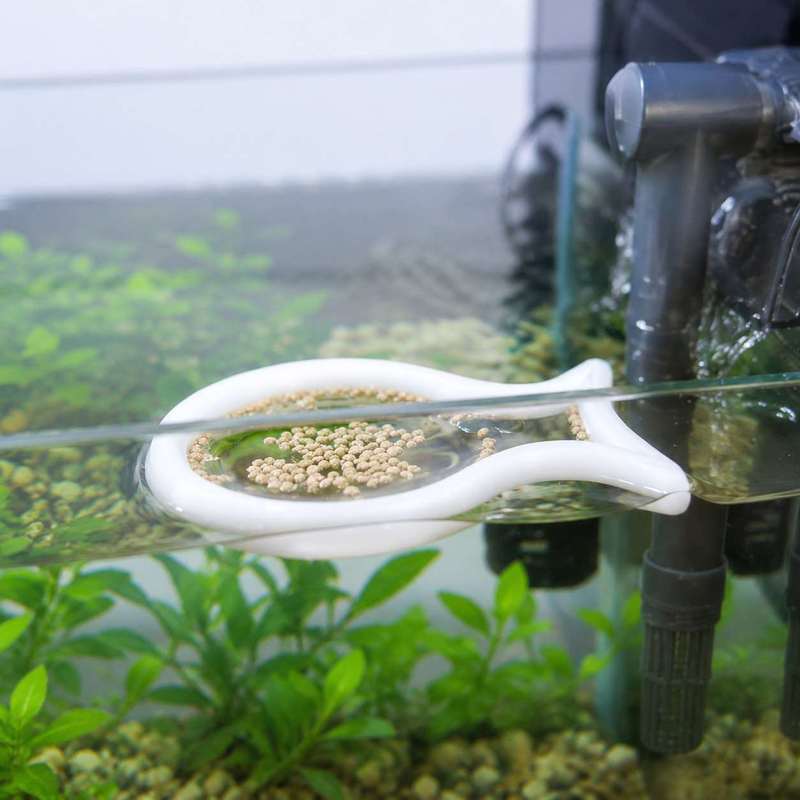 Fish Shaped Floating Feeding R - огляд і ціна Aquarium Fish Medicine