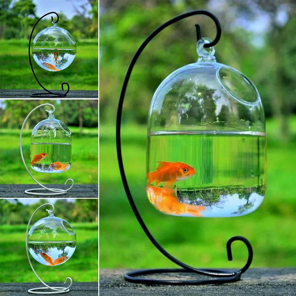 Aquarium Decoration Wall Hangi - огляд і ціна Aquarium Fish Names