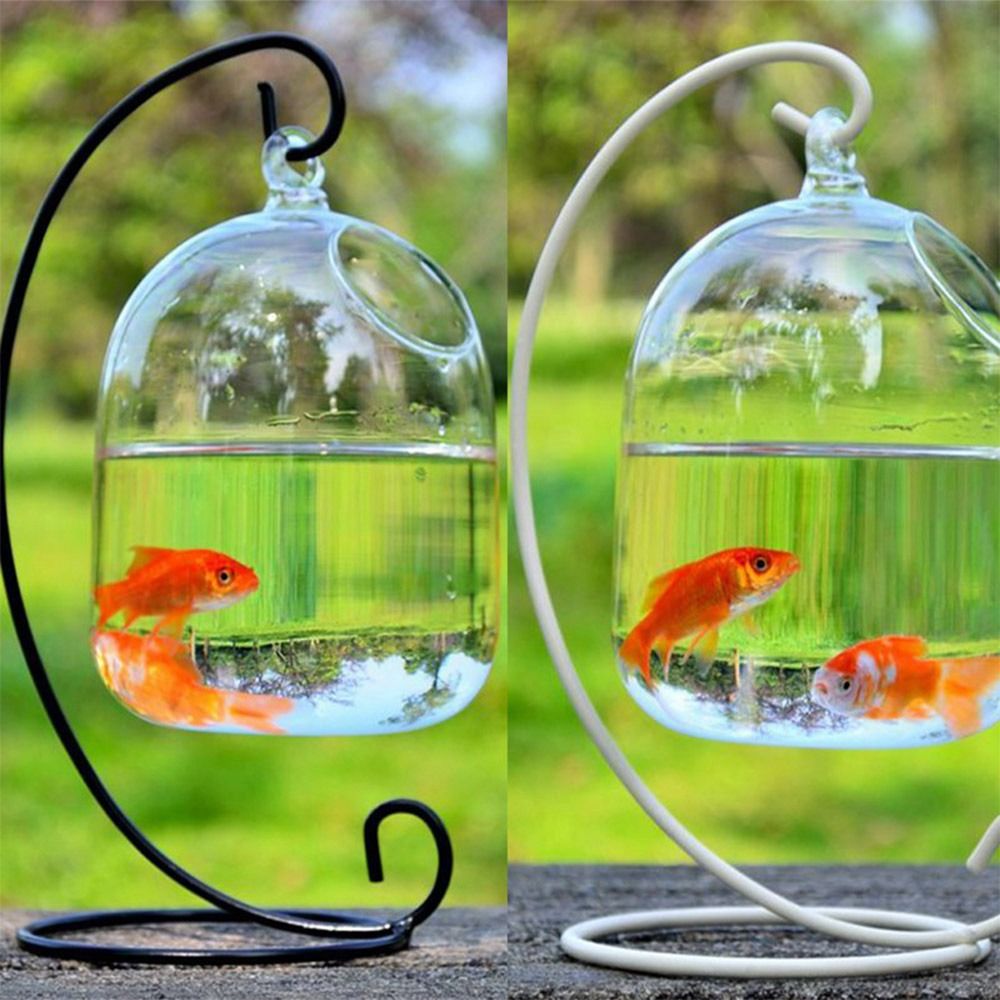 Aquarium Decoration Wall Hangi - огляд і ціна Aquarium Fish Names