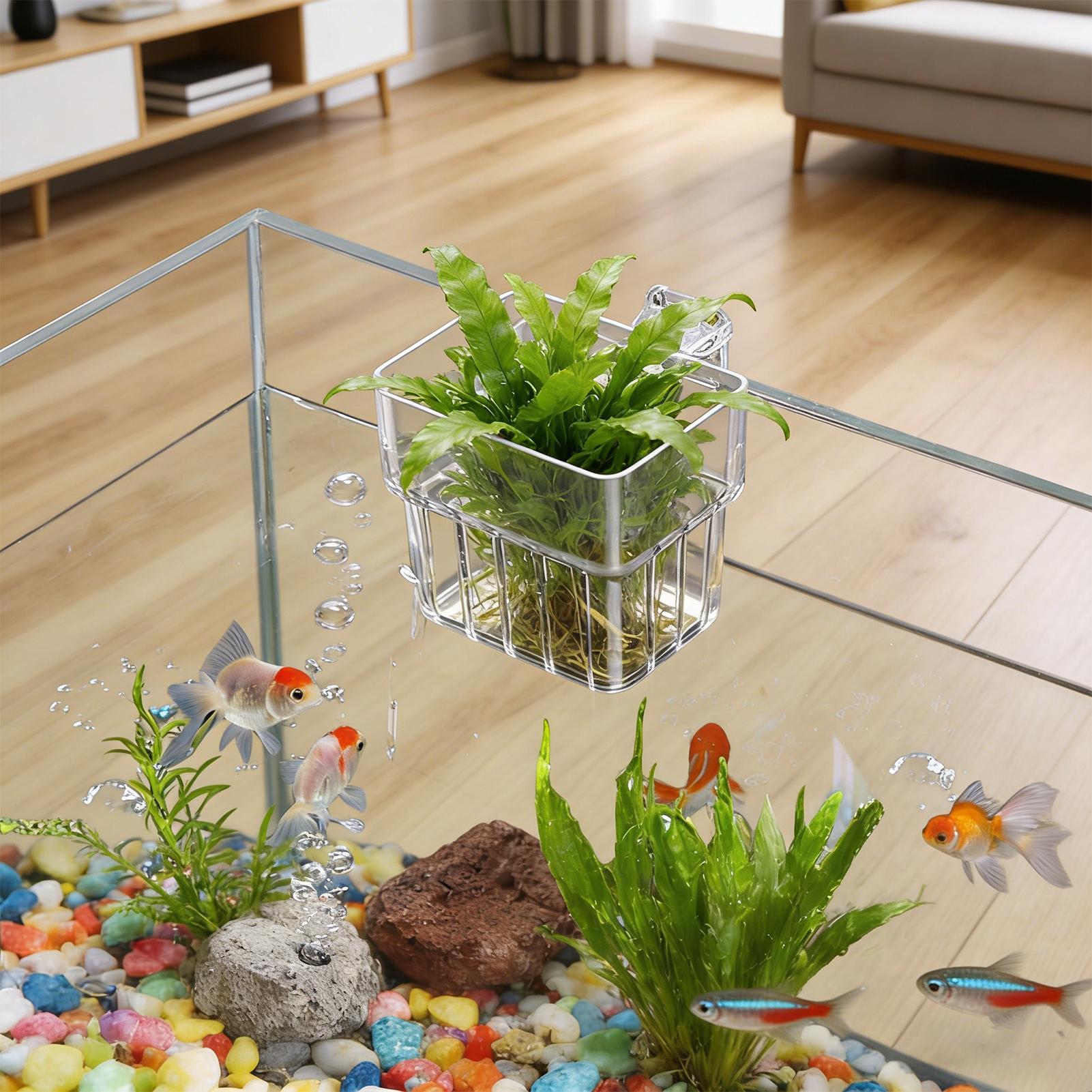 Transparent Hangable Aquarium  - огляд і ціна Aquarium Fish Names