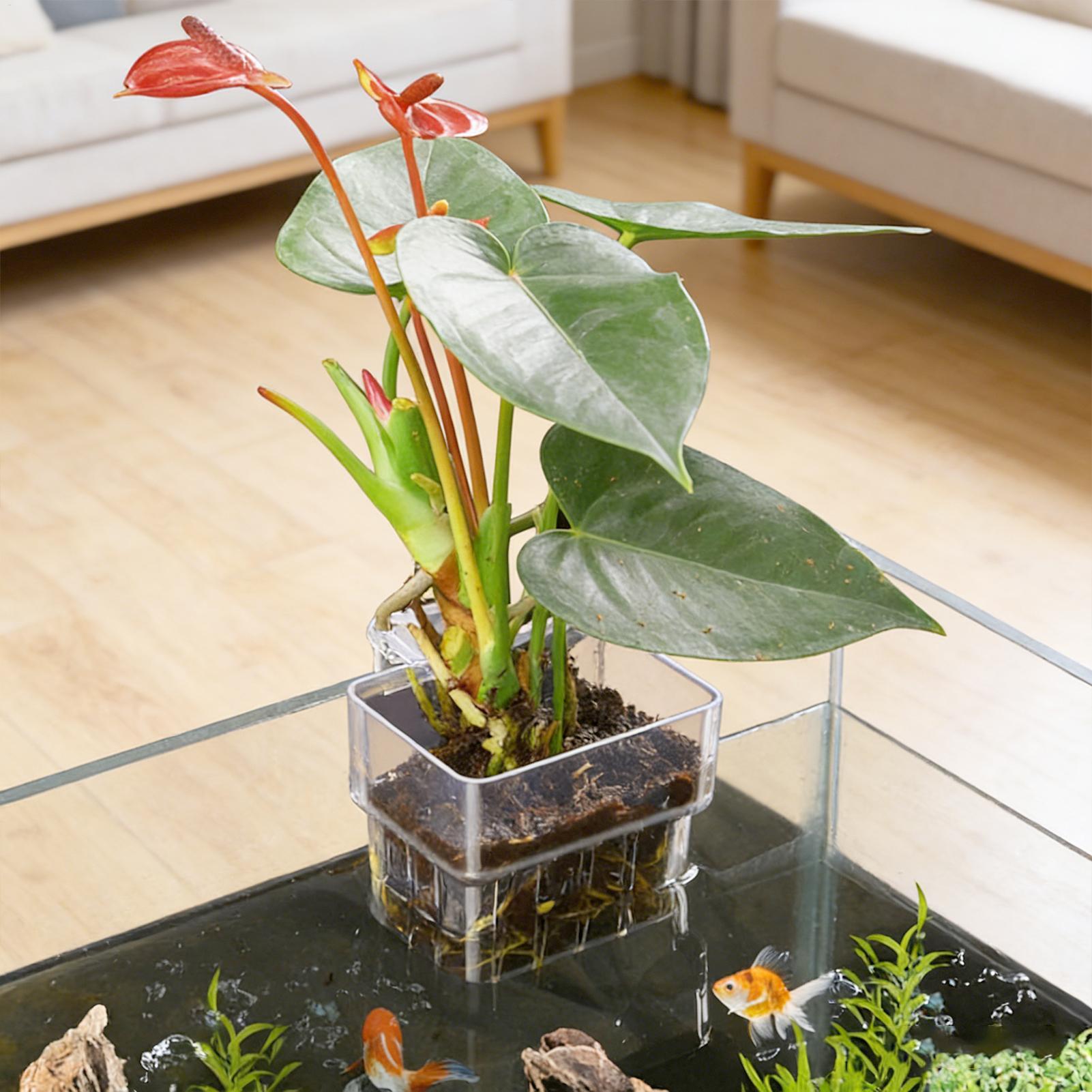 Transparent Hangable Aquarium  - огляд і ціна Aquarium Fish Names