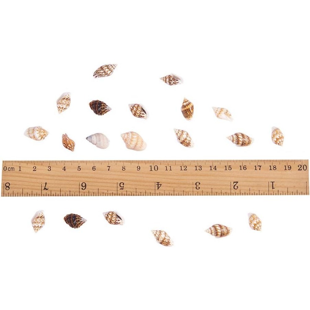 About 1500pcs Mixed Ocean Sea  - огляд і ціна Aquarium Fish Names