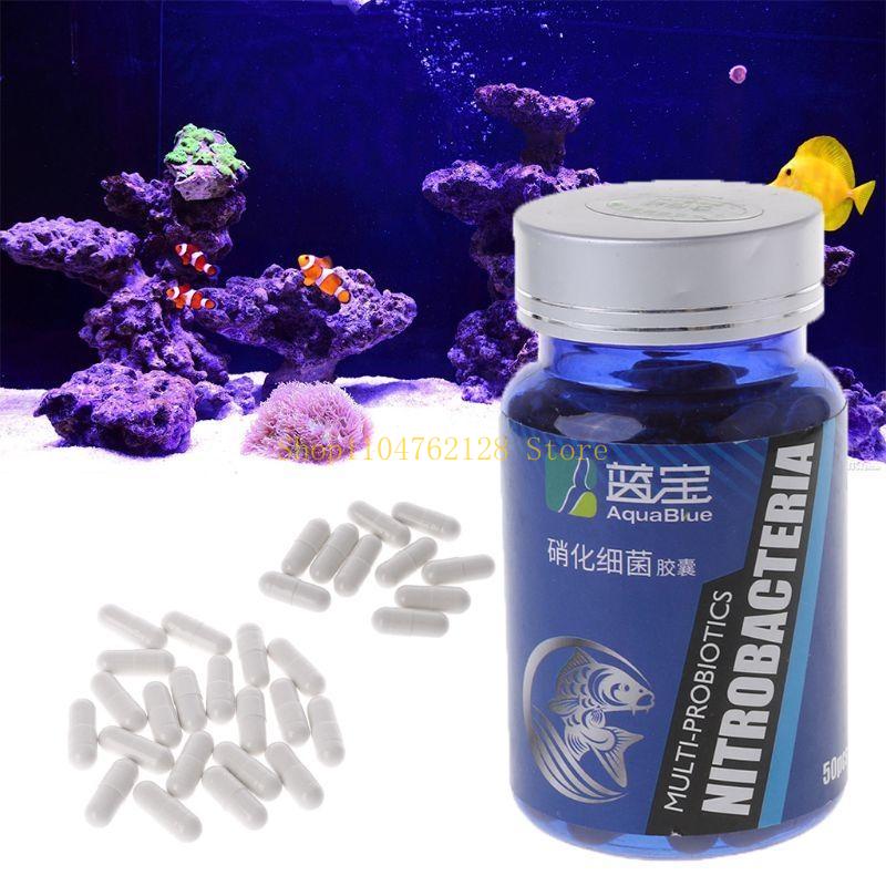 Nitrifying Capsules for Orname - огляд і ціна Aquarium Fish Medicine