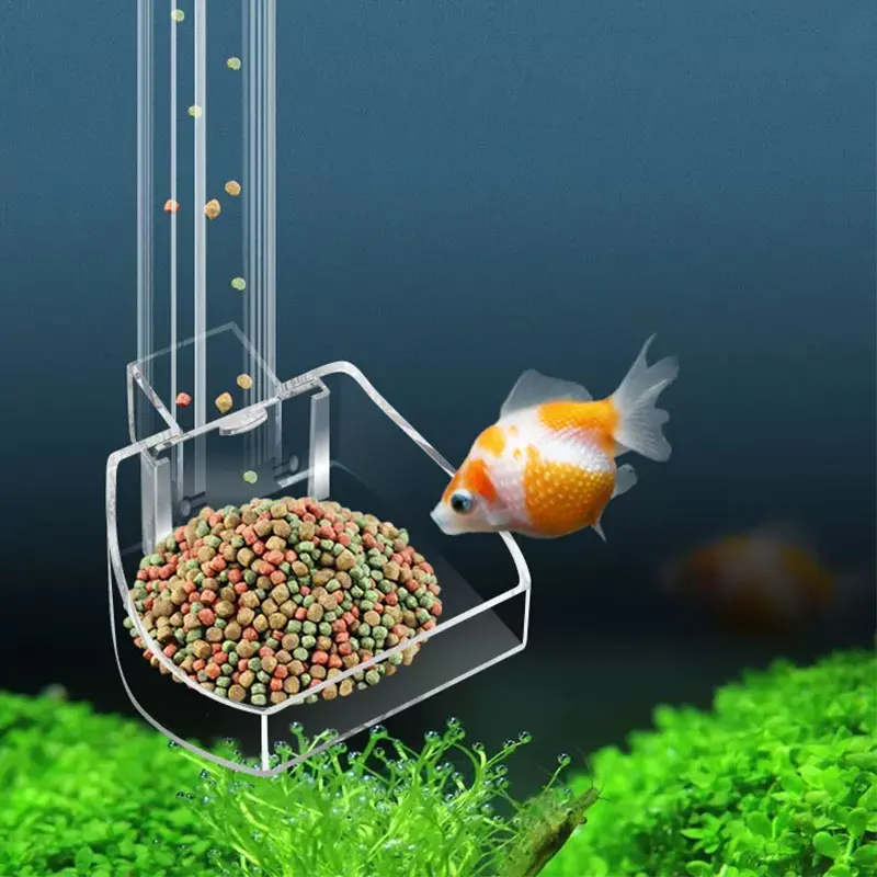 Aquarium Background Sticker My - огляд і ціна Aquarium Fish Poster