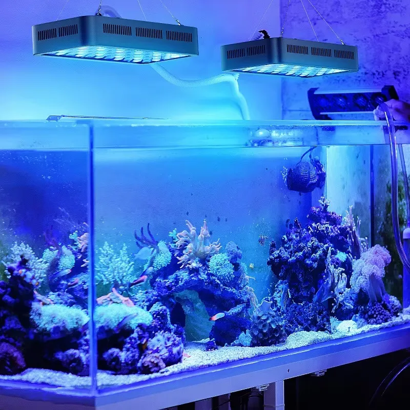 Wifi APP Control Coral Reef 16 - огляд і ціна Aquarium Fish App