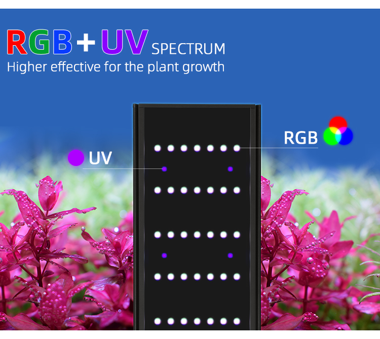 WEEK AQUA L Series APP Control - огляд і ціна Aquarium Fish App