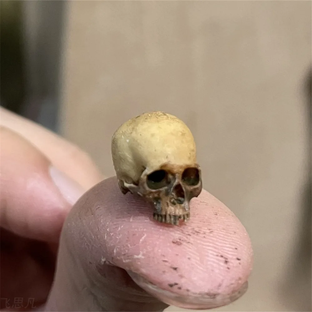 Mini Skull High Quality Miniat - огляд і ціна Aquarium Fish Names
