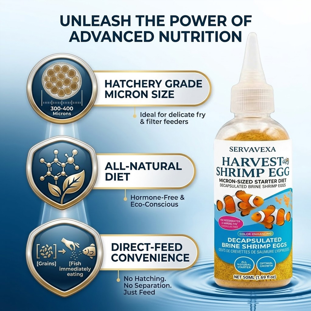 High Protein Fish Food for Bet - огляд і ціна Aquarium Fish Medicine