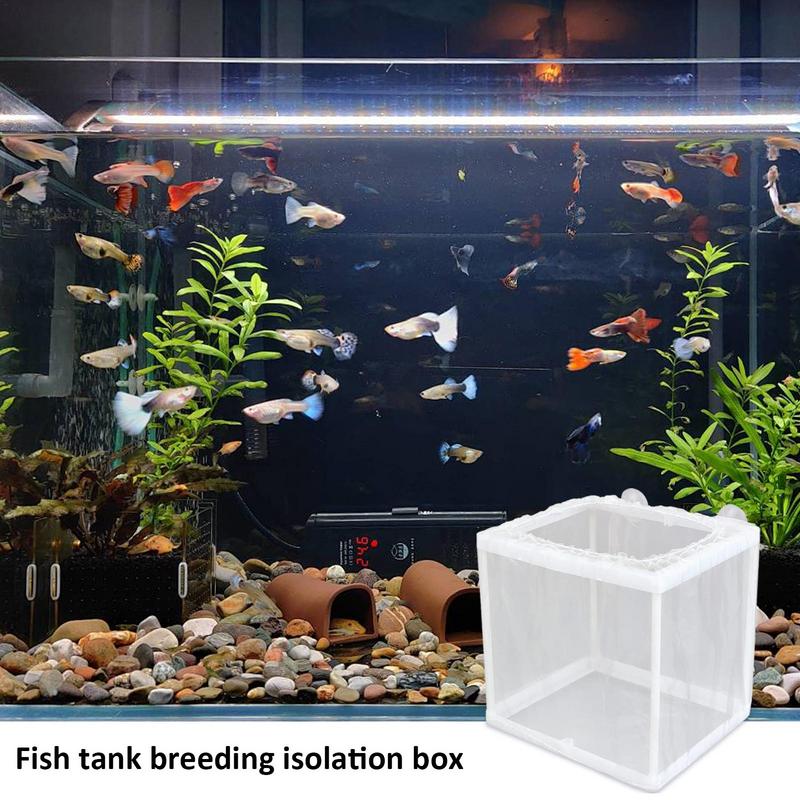 Fish Breeder Box with Suction, - огляд і ціна Aquarium Fish Medicine