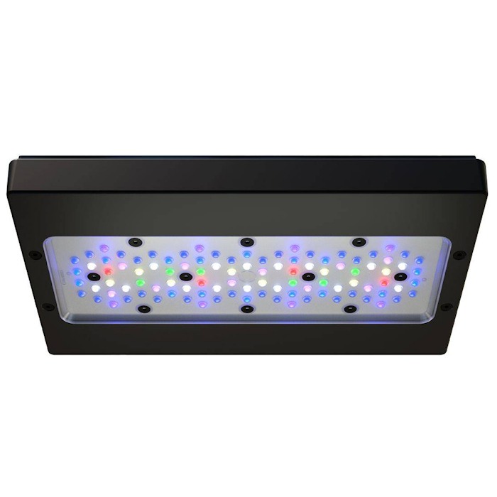 A8 PRO III Max and Blue 245W F - огляд і ціна Aquarium Fish App