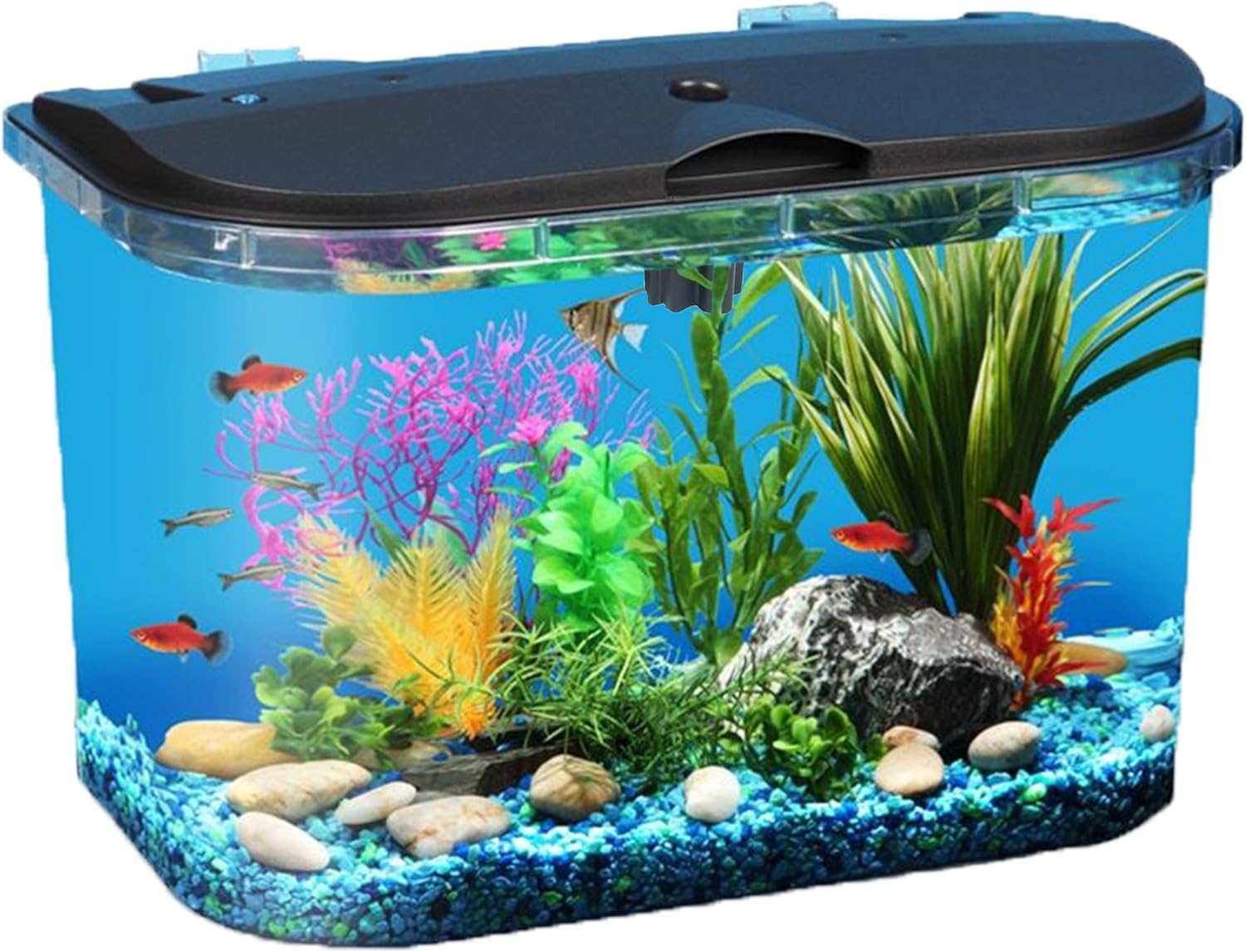 5-Gallon Aquarium Kit with LED - огляд і ціна Aquarium Fish Variety